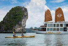 Du khách chèo thuyền thăm quan vịnh Hạ Long